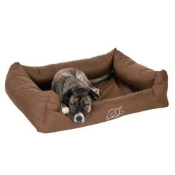 Cama Strong & Soft Para Perros -Suministros Para Mascotas 104018 strong soft bett fg 6899 3