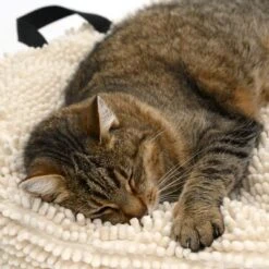 Cojín Para Mascotas Color Crema -Suministros Para Mascotas 104122 katze fg 5644 5