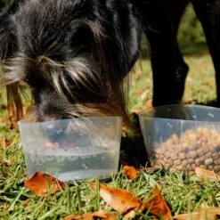 Comedero Plegable Mobowl -Suministros Para Mascotas 111118 texstar mobowl foldablebowl hs 02 9