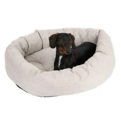 Cama Modern Living Bailey Para Perros 11 Cama Modern Living Bailey Para Perros -Suministros Para Mascotas 111544 hundebett baily fg 0610 8