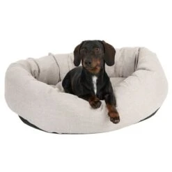 Cama Modern Living Bailey Para Perros 14 Cama Modern Living Bailey Para Perros -Suministros Para Mascotas 111544 hundebett baily fg 0614 5