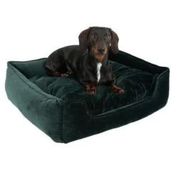 Cama Modern Living Fern Para Perros -Suministros Para Mascotas 111707 hundebett fern fg 0620 4