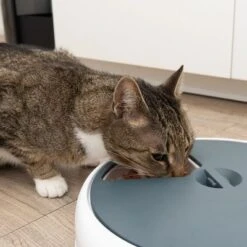 Alimentador Automático Noma 26 Alimentador Automático Noma -Suministros Para Mascotas 116296 futterautomat noma fg 9445 3