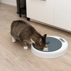 Alimentador Automático Noma 25 Alimentador Automático Noma -Suministros Para Mascotas 116296 futterautomat noma fg 9456 9