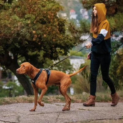 Julius K9 Arnés Para Perros JULIUS-K9 IDC® Longwalk Negro Y Gris - Imagen 9