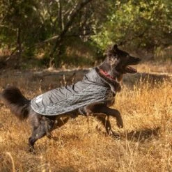 Chubasquero KONG Elements Negro Para Perros -Suministros Para Mascotas 130697 paw kong elements regenmantel schwarz 30kg hs 04 8