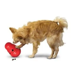 KONG Wobbler Para Snacks -Suministros Para Mascotas 1355067777031411080314 3