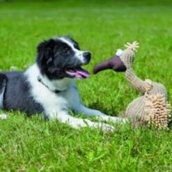 Buitre De Peluche Trixie Con Sonido -Suministros Para Mascotas 140050 trixie hundespielzeug geier gustav 2 4 0