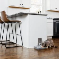 Comedero Automático Doble PetSafe® Para Mascotas -Suministros Para Mascotas 145997 rasiosystems petsafe futterautomat 2mahlzeiten catdog 2x355xml hs 11 4