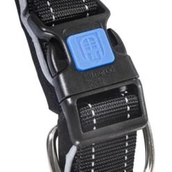 Collar ArmoredTech Dog Control Con Correa Corta Integrada Para Perros 5 Collar ArmoredTech Dog Control Con Correa Corta Integrada Para Perros -Suministros Para Mascotas 173096 173097 173098 asaquaristik dogcontrol halsband schwarz hs 02 5