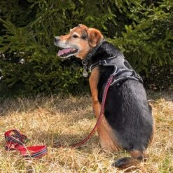 Petlando Arnés Pawz & Pepper Strong Rojo Y Negro Para Perros -Suministros Para Mascotas 174596 174696 petlando fuhrleinestrong rot 230cm hs 09 7