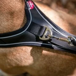 Arnés Curli Belka Comfort Negro Para Perros -Suministros Para Mascotas 176034 curli belka comfort geschirr schwarz hs 10 7