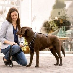 Arnés Curli Belka Comfort Negro Para Perros -Suministros Para Mascotas 176034 curli belka comfort geschirr schwarz hs 11 2