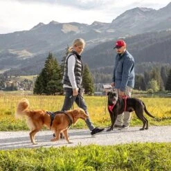 Arnés Curli Belka Comfort Negro Para Perros -Suministros Para Mascotas 176034 curli belka comfort geschirr schwarz hs 12 7