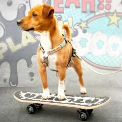 Arnés Max & Molly Cómic Para Perros -Suministros Para Mascotas 189999 186590 190000 maxnmolly h geschirr comic hs 03 8