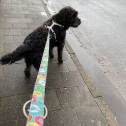 Arnés Max & Molly Donuts Para Perros -Suministros Para Mascotas 190296 190297 190396 maxnmolly hg eschirr donuts hs 05 6