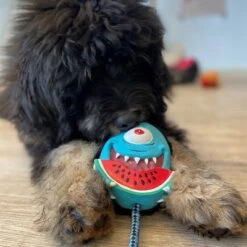 Max & Molly Bubba King Juguete De Látex Para Perros -Suministros Para Mascotas 191100 maxn molly kuscheltier spielzeug bubba king hs 04 5