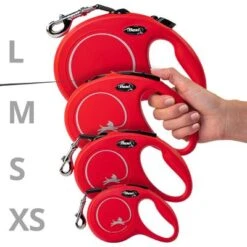 Correa Extensible Flexi New Classic Con Cinta De 5 M -Suministros Para Mascotas 198003 flexi new classic gurt leine s schwarz hs4 3