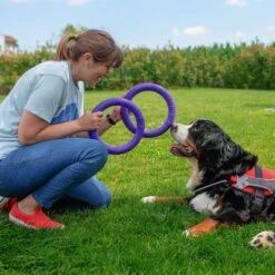 Ferplast Puller Juguete Para Perros 22 Ferplast Puller Juguete Para Perros -Suministros Para Mascotas 199296 ferplastitalien ferplast hundespielzeug puller midi 27cm hs 11 7