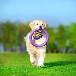 Ferplast Puller Juguete Para Perros 25 Ferplast Puller Juguete Para Perros -Suministros Para Mascotas 199296 ferplastitalien ferplast hundespielzeug puller midi 27cm hs 16 5