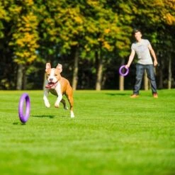 Ferplast Puller Juguete Para Perros 26 Ferplast Puller Juguete Para Perros -Suministros Para Mascotas 199296 ferplastitalien ferplast hundespielzeug puller midi 27cm hs 17 7