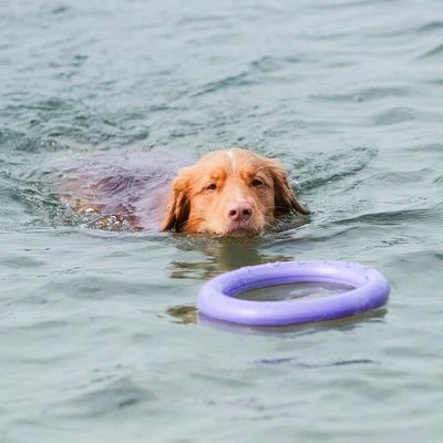 Ferplast Puller Juguete Para Perros 13 Ferplast Puller Juguete Para Perros - Imagen 13