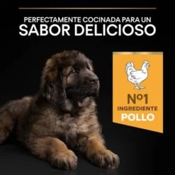 PURINA PRO PLAN Large Robust Puppy Healthy Start -Suministros Para Mascotas 1 44142748 es es 221230 1 8