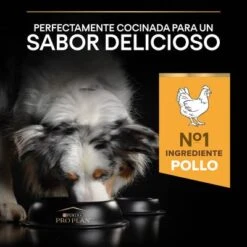 PURINA PRO PLAN Medium & Large Adult 7+ Age Defence 15 PURINA PRO PLAN Medium & Large Adult 7+ Age Defence -Suministros Para Mascotas 1 44152668 es es 221230 1 5