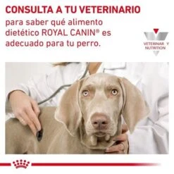 Royal Canin Veterinary Canine Cardiac Pienso Para Perros 15 Royal Canin Veterinary Canine Cardiac Pienso Para Perros -Suministros Para Mascotas 1 rc vdi cardiacdry cv eretailkit 9 es es 6