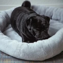 Cama Térmica HAFENBANDE Flory -Suministros Para Mascotas 200322 waagenschmitt hafenbande heizmatte flory hs 11 8