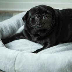 Cama Térmica HAFENBANDE Flory -Suministros Para Mascotas 200322 waagenschmitt hafenbande heizmatte flory hs 12 1