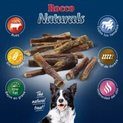 PROMO: 100 Uds. X Rocco Nervio De Buey 12 Cm 9 PROMO: 100 Uds. X Rocco Nervio De Buey 12 Cm -Suministros Para Mascotas 2019 09 rocco naturals pizzle 1000x1000 es 7