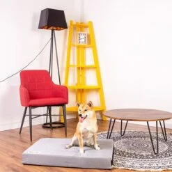 Colchón Classic Para Perros 18 Colchón Classic Para Perros -Suministros Para Mascotas 203327 203328 geop zooplusexclusive hundematratze classic hs 14 1