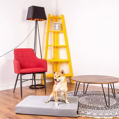 Colchón Classic Para Perros 8 Colchón Classic Para Perros - Imagen 8