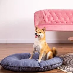 Cama Kapstadt 2 En 1 Modern Living Para Mascotas 15 Cama Kapstadt 2 En 1 Modern Living Para Mascotas -Suministros Para Mascotas 203436 geop katzenbett kapstadt 2in1 hs 01 1