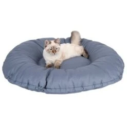 Cama Kapstadt 2 En 1 Modern Living Para Mascotas 11 Cama Kapstadt 2 En 1 Modern Living Para Mascotas -Suministros Para Mascotas 203436 kapstadt und katze fg 9819 3