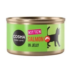 Pack Ahorro: Cosma Original Kitten 24 X 85 G -Suministros Para Mascotas 203440 pla cosma kitten salmon jelly 85g 1000x1000 6