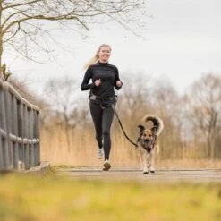 Correa De Jogging Con Cinturón Trixie Gris Y Negra Para Perros -Suministros Para Mascotas 203777 trixie jogginggurt leine grauschwarz hs 13 6