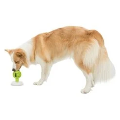 Trixie Licking Ball Pelota Rellenable Para Perros 19 Trixie Licking Ball Pelota Rellenable Para Perros -Suministros Para Mascotas 209078 trixie licknsnack ball hs 09 6