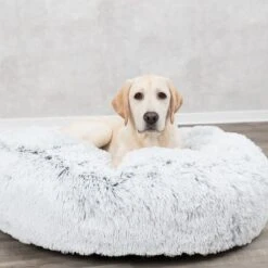 Cojín Redondo Trixie Harvey Para Mascotas -Suministros Para Mascotas 211296 209069 211297 trixie kissen harvey rund hs 06 1