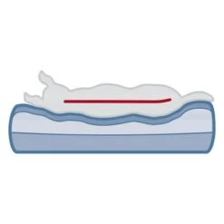 Cama Ortopédica Trixie Vital Sofa Bendson Para Perros -Suministros Para Mascotas 211497 209072 trixie vital sofa bendson hs 12 9