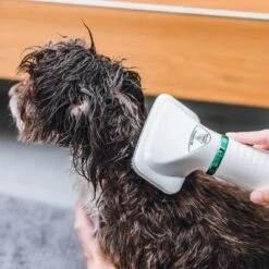 Cepillo Trixie De Aire Caliente -Suministros Para Mascotas 212217 trixie warmluftbuerste 300w hs 18 5