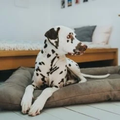 Cama Hunter Bologna Color Piedra Para Perros -Suministros Para Mascotas 212954 212955 hunter hundebett bologna stein hs 07 0