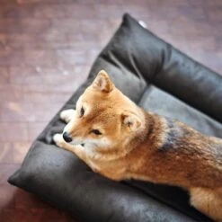 Cama Hunter Bologna Negra Para Perros -Suministros Para Mascotas 214699 214700 hunter hundebett bologna schwarz hs 09 2