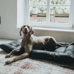 Cama Hunter Bologna Negra Para Perros -Suministros Para Mascotas 214699 214700 hunter hundebett bologna schwarz hs 10 8