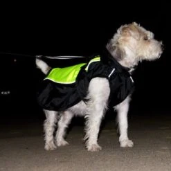 Chubasquero Para Perros Illume Nite Neon -Suministros Para Mascotas 222247 illume nite 35 dsc1934 3