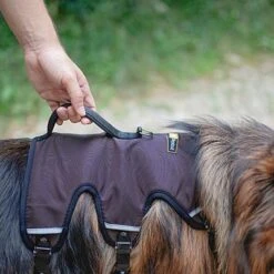 Arnés Ferplast Ergotrekking Marrón -Suministros Para Mascotas 224505 224506 224507 ferplast ergotrekking geschirr braun hs 10 0