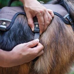 Arnés Ferplast Ergotrekking Marrón -Suministros Para Mascotas 224505 224506 224507 ferplast ergotrekking geschirr braun hs 11 2