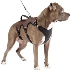 Arnés Ferplast Ergotrekking Marrón -Suministros Para Mascotas 224505 224506 224507 ferplast ergotrekking geschirr braun hs 14 0