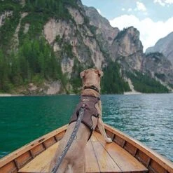 Arnés Ferplast Ergotrekking Marrón -Suministros Para Mascotas 224505 224506 224507 ferplast ergotrekking geschirr braun hs 18 4